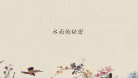 小學(xué)科學(xué)13. 水面的秘密教學(xué)演示ppt課件