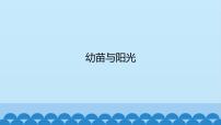 首師大版六年級上冊5.幼苗與陽光課堂教學ppt課件