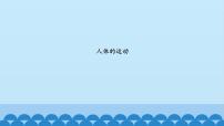 科學(xué)六年級上冊11.人體的運(yùn)動教案配套課件ppt