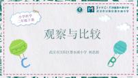 小學(xué)科學(xué)教科版 (2017)二年級下冊3.觀察與比較說課ppt課件