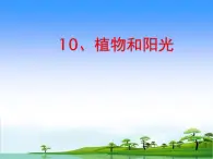 青島版（五四制）科學(xué)二年級上冊10.植物和陽光教學(xué)課件