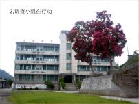 2020-2021學(xué)年2.3 調(diào)查小組在行動(dòng)備課課件ppt