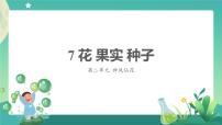 小学科学人教鄂教版 (2017)三年级下册7 花 果实 种子精品课件ppt
