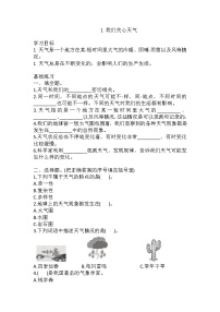 教科版 (2017)三年級上冊1.我們關心天氣練習