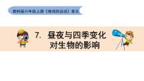 2021學年7.晝夜和四季變化對生物的影響教學ppt課件