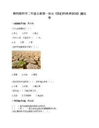 小學(xué)科學(xué)教科版 (2017)二年級上冊我們的地球家園綜合與測試同步測試題