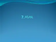人教鄂教版科學(xué)二年級(jí)下冊(cè)7.《螞蟻》 課件+教案