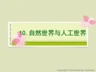 人教鄂教版科學(xué)二年級(jí)下冊(cè)10.《 自然世界與人工世界》 課件+教案