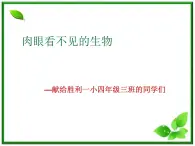 人教版小學四年級科學上冊2.4肉眼看不見的生物 課件PPT