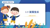 教科版（2017）科学二年级下册2.5《发现生长》课件PPT+教案+同步练习