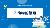 小学7.动物的繁殖授课课件ppt