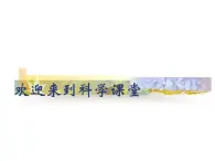 人教版小學四年級科學上冊2.2制作植物標本課件