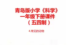 4.《常見的動物》課件 青島版(五四制)小學科學一下