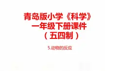 5.《動物的反應》課件 青島版(五四制)小學科學一下