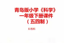 8.《布料》 課件 青島版(五四制)小學科學一下