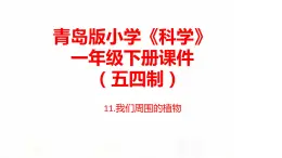 11.《我們周圍的植物》課件 青島版(五四制)小學科學一下