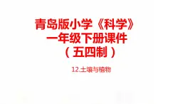 12.《土壤與植物》課件 青島版(五四制)小學科學一下