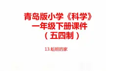 13.《蚯蚓的家》課件 青島版(五四制)小學科學一下