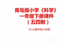 14.《土壤中的小動物》課件 青島版(五四制)小學科學一下