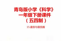 15.《番茄與番茄醬》課件 青島版(五四制)小學科學一下
