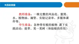 1.《植物的根》课件 青岛版(五四制)小学科学三上