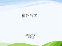 小學(xué)科學(xué)青島版 (五四制)四年級(jí)上冊(cè)4 植物的莖示范課課件ppt