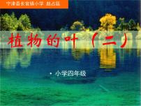 小學(xué)科學(xué)青島版 (五四制)四年級(jí)上冊(cè)3 植物的葉教學(xué)演示課件ppt