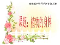 青島版 (五四制)四年級(jí)上冊(cè)1 植物的身體示范課ppt課件