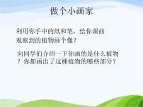 2021學(xué)年第一單元 植物的生活1 植物的身體集體備課課件ppt
