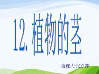 2021學(xué)年第一單元 植物的生活4 植物的莖教學(xué)課件ppt