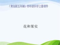 青島版 (五四制)四年級(jí)上冊(cè)5 花和果實(shí)課文配套ppt課件