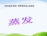 青島版 (五四制)四年級(jí)上冊(cè)13 蒸發(fā)課文內(nèi)容ppt課件