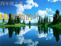 小學(xué)科學(xué)青島版 (五四制)四年級(jí)上冊(cè)3 植物的葉多媒體教學(xué)課件ppt
