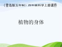 2021學(xué)年1 植物的身體評課課件ppt