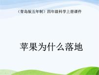 小學(xué)21 蘋(píng)果為什么落地教學(xué)演示ppt課件