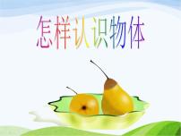 青島版 (六三制)三年級上冊4. 怎樣認(rèn)識物體背景圖ppt課件