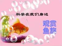 小學(xué)科學(xué)青島版 (五四制)三年級上冊1 科學(xué)在我們身邊備課課件ppt