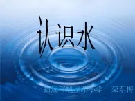 青岛小学科学三上《14-认识水》PPT课件