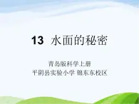 青岛小学科学三上《17-水面的秘密》PPT课件