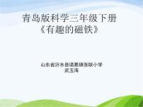 科學三年級下冊5. 有趣的磁鐵示范課課件ppt