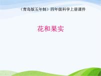 科學四年級上冊5 花和果實備課ppt課件