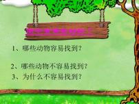 科學四年級下冊16 變色龍授課ppt課件