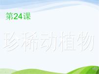四年級(jí)下冊(cè)20 珍稀動(dòng)植物多媒體教學(xué)ppt課件