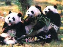 青島版 (五四制)四年級(jí)下冊(cè)20 珍稀動(dòng)植物課前預(yù)習(xí)ppt課件