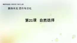 第21課《自然選擇》教學(xué)課件+教材分析 粵教版小六科學(xué)上冊