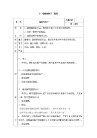 粵教粵科版四年級(jí)上冊(cè)（新版）第1單元 植物的身體7 植物的種子表格教案