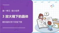 科學(xué)六年級下冊3、放大鏡下的晶體教案配套ppt課件