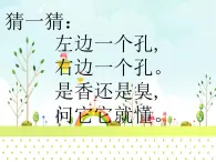 3.動物的鼻子 課件PPT