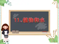 11.植物和水 課件PPT