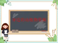 14 身邊的動植物資源 課件PPT
